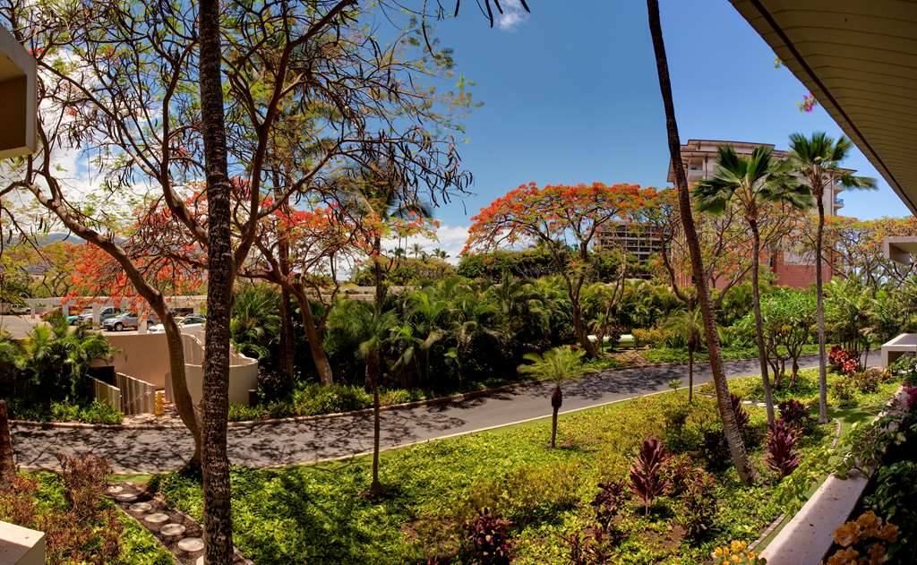 Kaanapali Alii - thumb 1