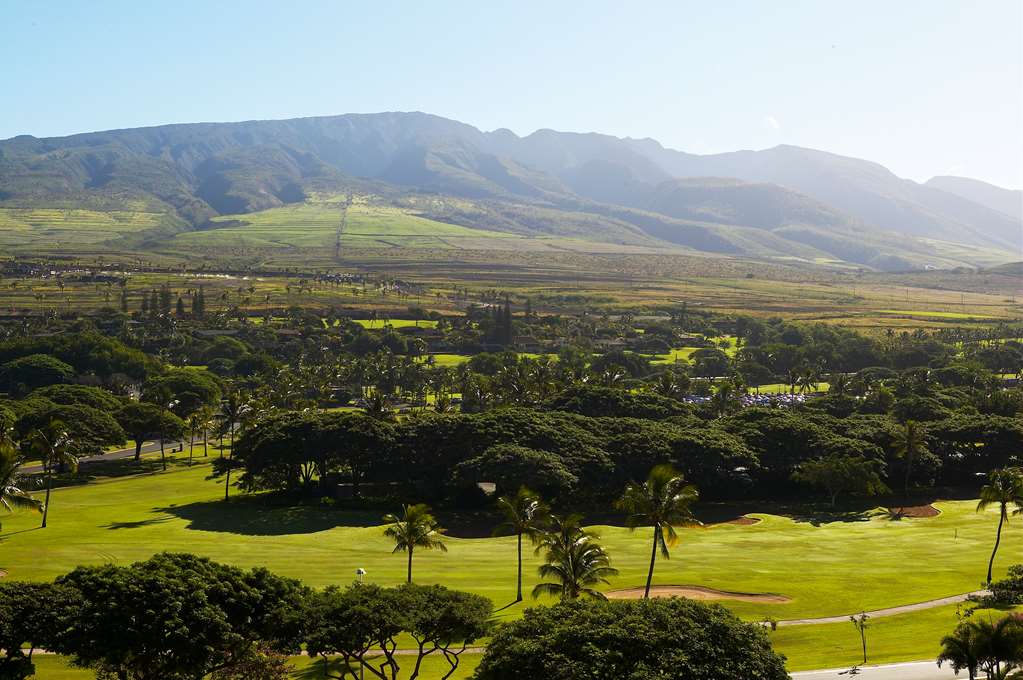 Kaanapali Alii - thumb 2