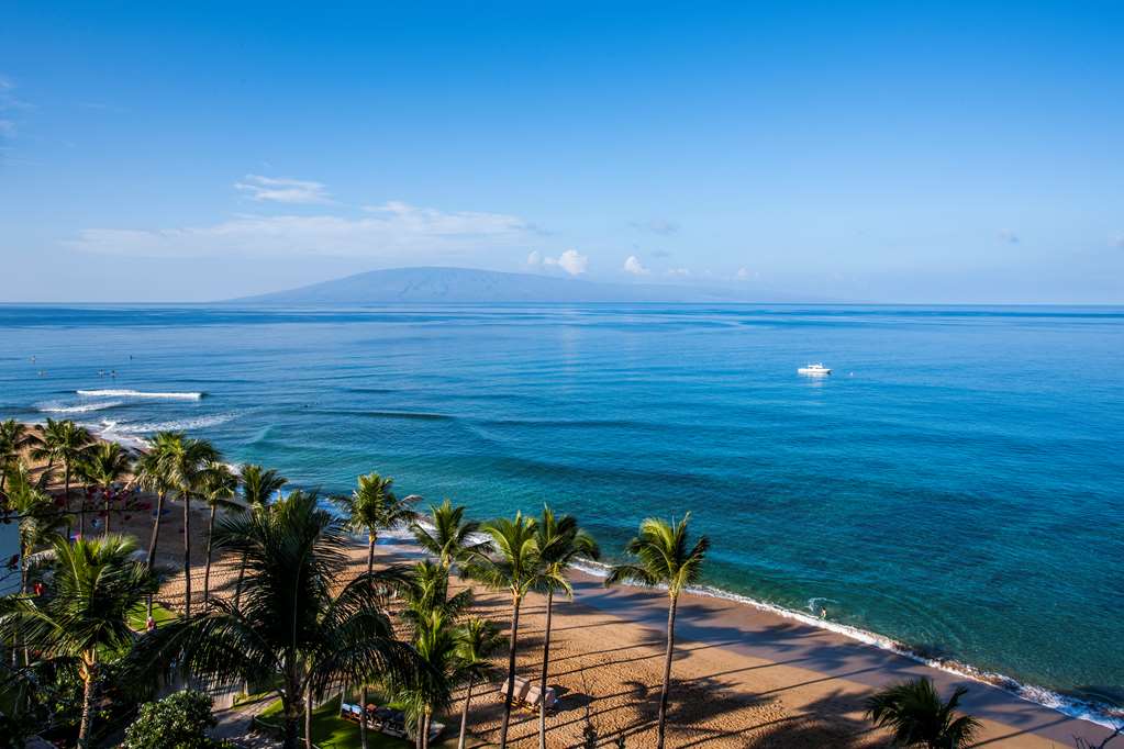 Kaanapali Alii - thumb 5