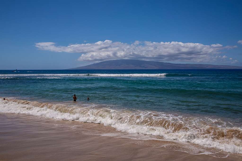 Kaanapali Alii - thumb 17