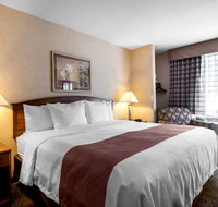 Quality Inn Hotel - Accommodation Alabama