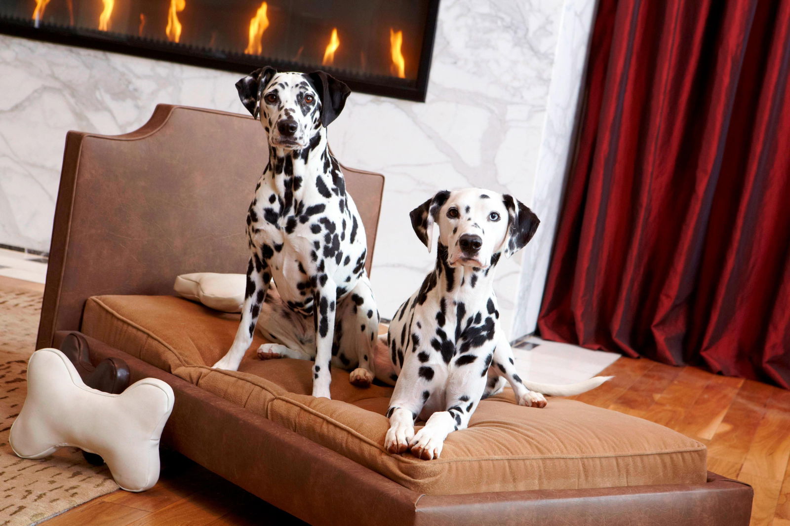 Renaissance Atlanta Midtown Hotel - thumb 1