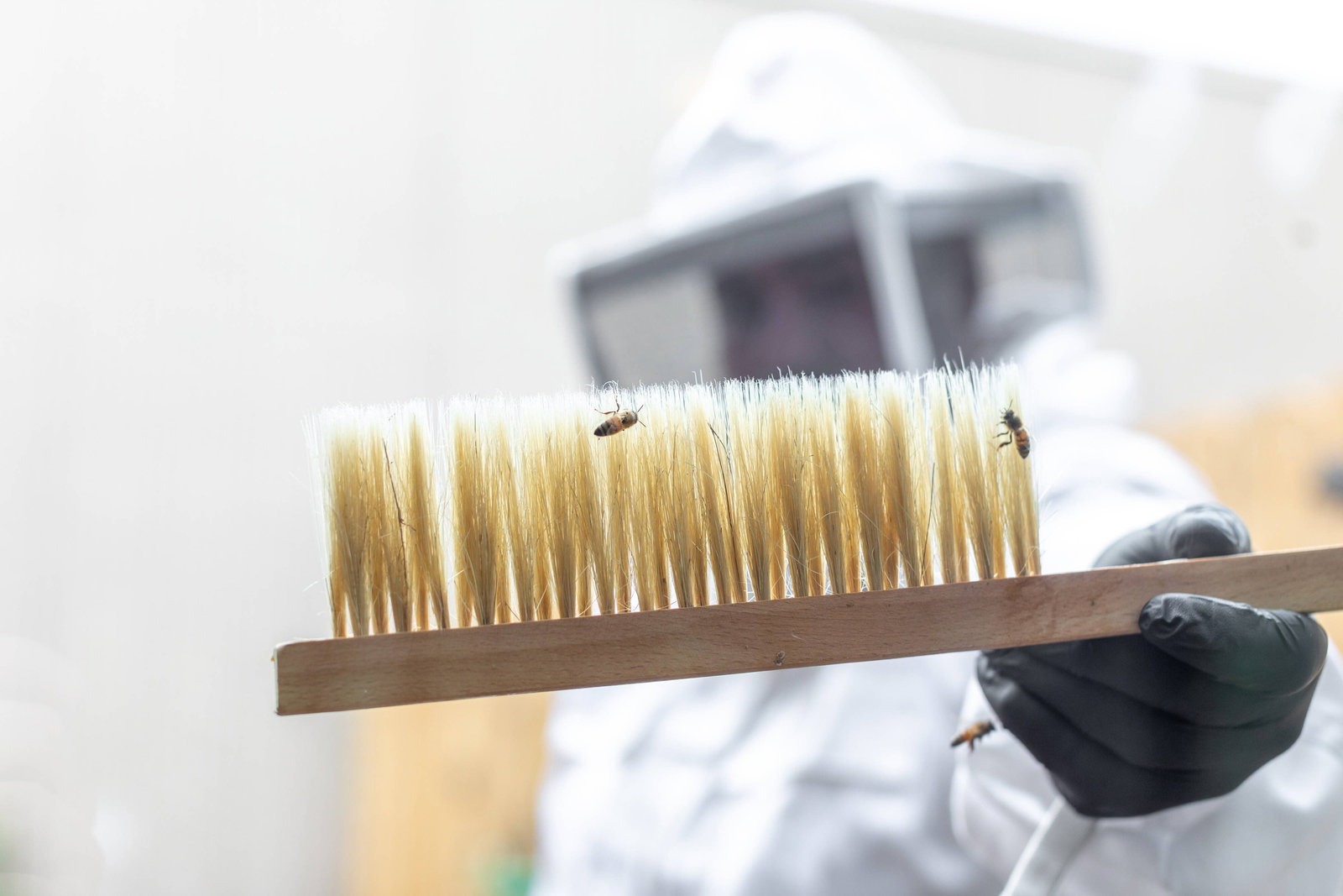 Atlanta Airport Marriott - thumb 16