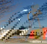 Small-Group Dallas City Highlights Tour by Minivan - Accommodation Alabama