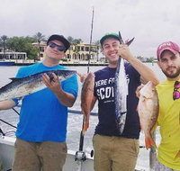 4-Hour Day or Night-Time Reef Bottom Fishing Charter in Fort Lauderdale - Accommodation Alabama