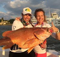4-Hour Shared Big Game Deep Sea Fishing Charter in Fort Lauderdale - Accommodation Alabama