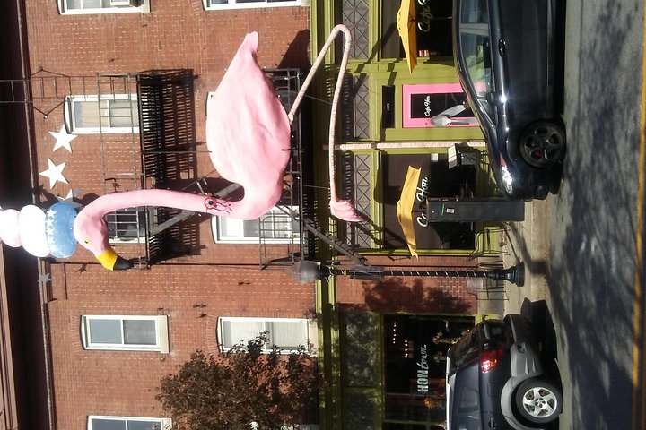 Baltimore's (Private)Sightseeing Tour - thumb 1