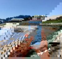 Newport Cliff Walk Self-Guided Walking Tour - Accommodation Alabama