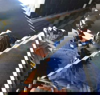 Chicago CityPASS - Accommodation Alabama