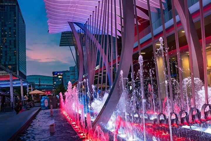 Private Houston City Tour and Nasa Space Center Unlimited Time Visit