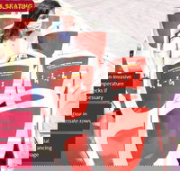 Big Bus Chicago Hop-On Hop-Off Tour - Accommodation Alabama