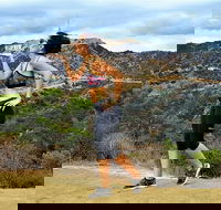 Griffith Observatory Hike Hollywood Hills Walk in Griffith Park - Accommodation Alabama