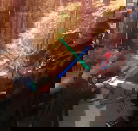 Galaxy Connection General Admission - Accommodation Alabama