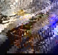 VIP Tour- The Galaxy Connection - Accommodation Alabama