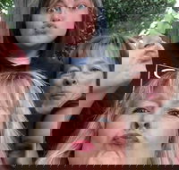 Participate in a Fun Scavenger Hunt in Little Rock by Zombie Scavengers - Accommodation Alabama