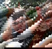 Little Rock City Scavenger Hunt Excursion by Wacky Walks - Accommodation Alabama