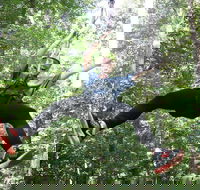 10 Zip Line Zip Tour 1.5 hours - Accommodation Alabama