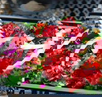 Denver Scavenger Hunt: Eat Denver Dining Deck Hunt! - Accommodation Alabama