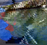 Manatee Viewing Cruise - Accommodation Alabama