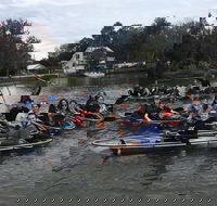 Clear Kayak Tour of Crystal River - Accommodation Alabama