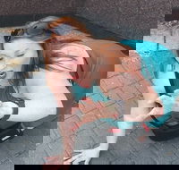 Fun City Scavenger Hunt in Hartford by Zombie Scavengers - Accommodation Alabama