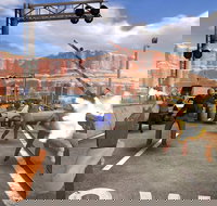 30 Minute VR Experience - Accommodation Alabama