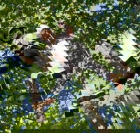 Fields of Fire Adventure Park Admission Ticket - Accommodation Alabama