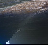 Lovers Key Guided Eco Tour-Mangrove Estuary - Accommodation Alabama