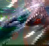 Private Manatee Tour - Accommodation Alabama