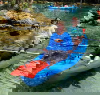 Full Day Tandem Kayak Rental For Two People In Crystal River Florida - Accommodation Alabama