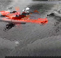 4 Hour Single Kayak Rental In Crystal River Florida - Accommodation Alabama