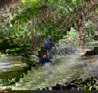 Clear Kayak Tours on Chassahowitzka River - Accommodation Alabama