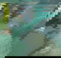 Deluxe Manatee Swim Tour - Accommodation Alabama