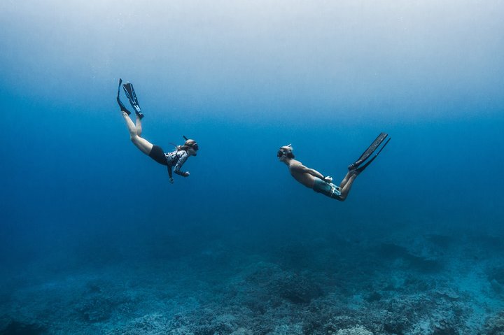 Kaimana Ocean Safari - thumb 3