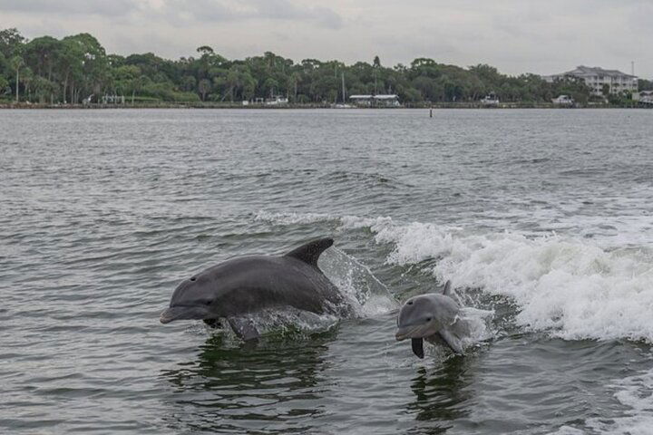 Jet Boat Tour Privatein Clearwater - thumb 5