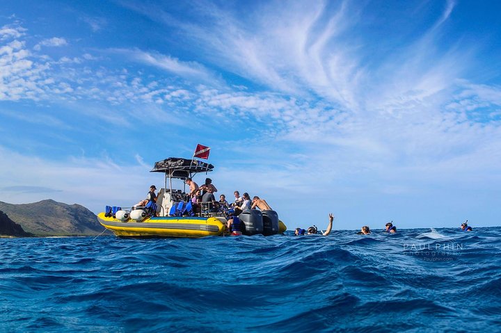 Waianae Coast Snorkel Cruise With Dolphin And Seasonal Whale Watching From Oahu - thumb 2