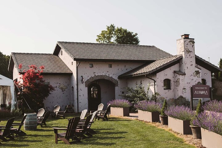 5 Hour Traverse City Wine Tour 4 Wineries on Leelanau Peninsula