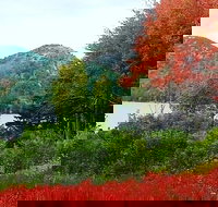 Narrated Bus Tour of Bar Harbor and Acadia National Park Classic - 2.5 Hours - Accommodation Alabama