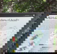 Premium Narrated Bus Tour of Bar Harbor and Acadia National Park 3.5 Hours - Accommodation Alabama