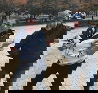 Adventurous Scavenger Hunt in Ann Arbor by Zombie Scavengers - Accommodation Alabama