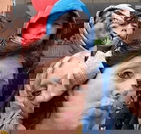 Adventurous Scavenger Hunt in Detroit by Zombie Scavengers - Accommodation Alabama