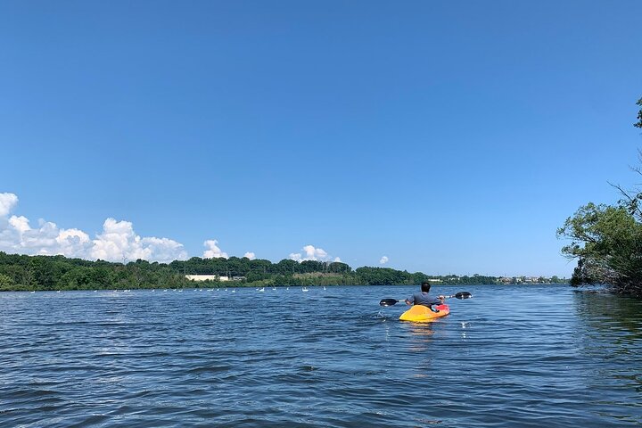 Half-Day Fun Pass Kayak Bike and SUP Rental in Traverse City