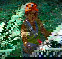 Fully Guided Zipline Canopy Tour through Kentucky River Palisades - Accommodation Alabama