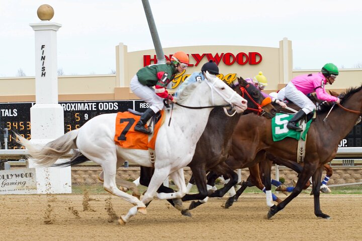 Rarest Thoroughbreds In The World Tour - thumb 3