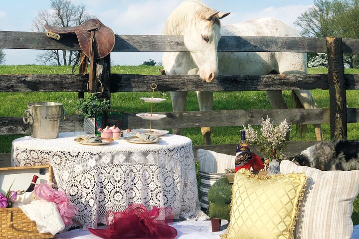 Rarest Thoroughbreds In The World Tour - thumb 4