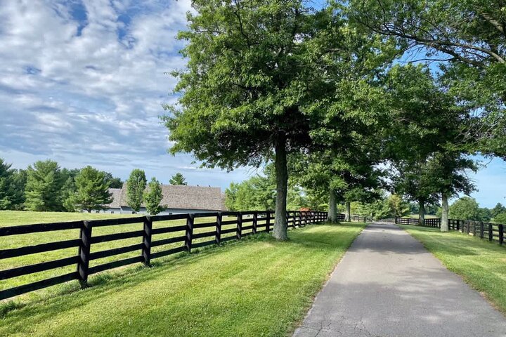 Rarest Thoroughbreds In The World Tour - thumb 5