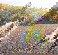 Guided Foraging - Mushroom Hunting Experiences - Accommodation Alabama