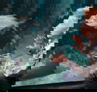 SEA LIFE Michigan Aquarium Admission Ticket - Accommodation Alabama