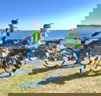 3.5hrs Coastal Tour Visit the Coastline Tucked Away Seaside Villages Mansions - Accommodation Alabama