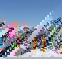 Big Sky Premium Snowboard Rental Including Delivery - Accommodation Alabama